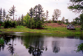 Land for sale in Danville, Vermont