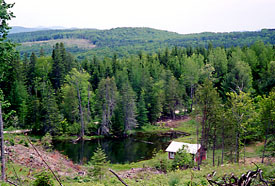 Land for sale in Danville, Vermont