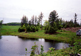 Land for sale in Danville, Vermont